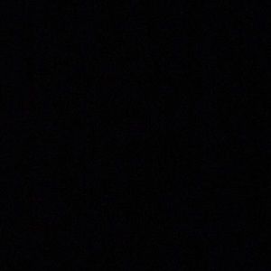 Meet your Posher, Harrison